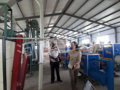 埃塞俄比亚客户杂粮加工设备